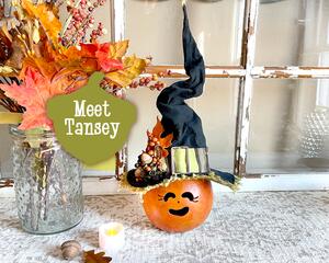 This image shows a Halloween witch decoration. It is made from a real dried gourd. Her name is Tansey and has a black and green witch hat. 